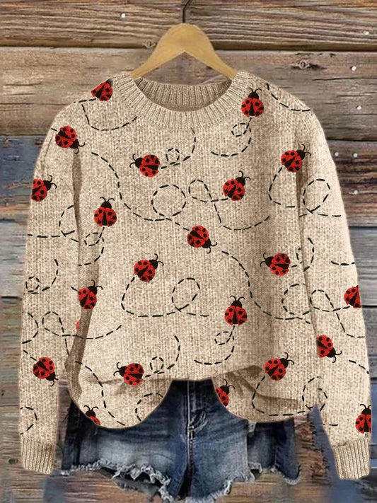 Flying Ladybugs Embroidery Pattern Cozy Knit Sweater